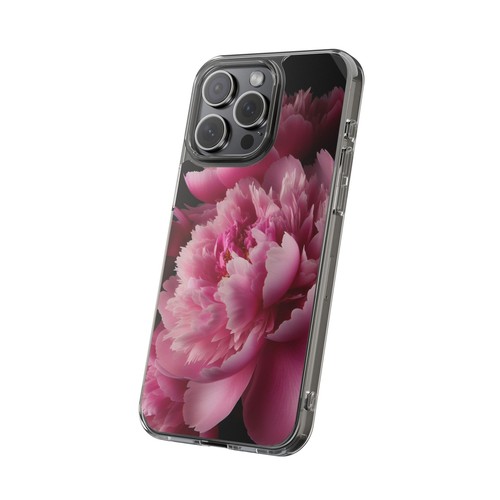 Clear cases - clear,
